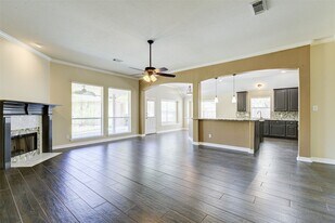 14407 Jessica Falls Cir in Houston, TX - Building Photo