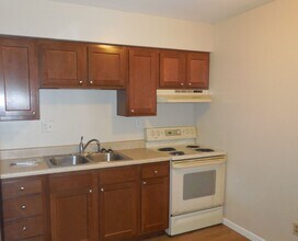 1228 Olivette St in Collinsville, IL - Foto de edificio - Building Photo