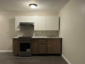 355 S Main St in Albion, NY - Building Photo - Building Photo