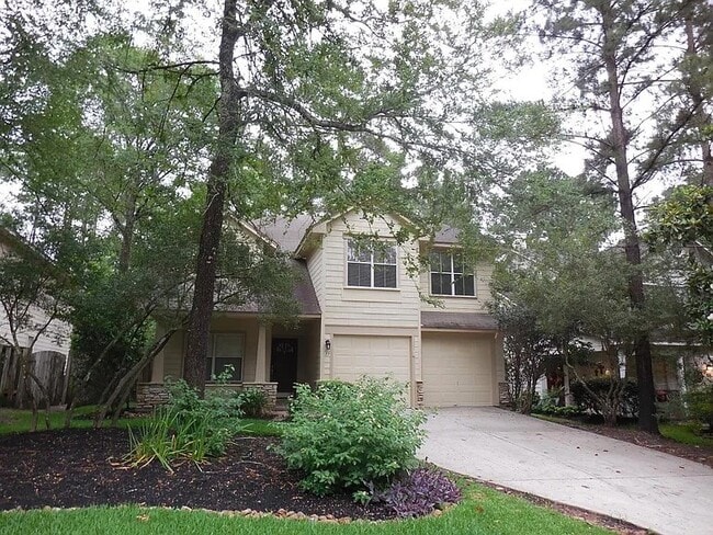 39 E Autumn Branch Cir in Spring, TX - Building Photo - Building Photo