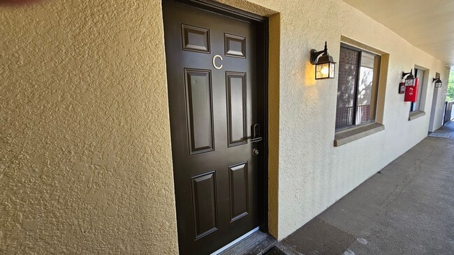 11722 Raintree Lake Ln in Temple Terrace, FL - Building Photo - Building Photo