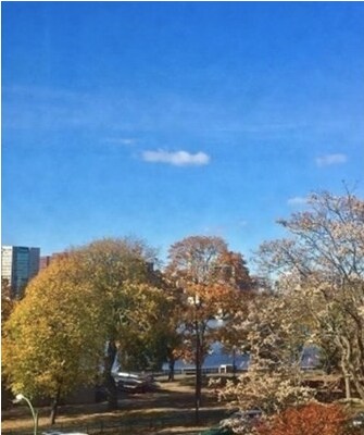 8 Otis Pl, Unit 4 in Boston, MA - Building Photo - Building Photo