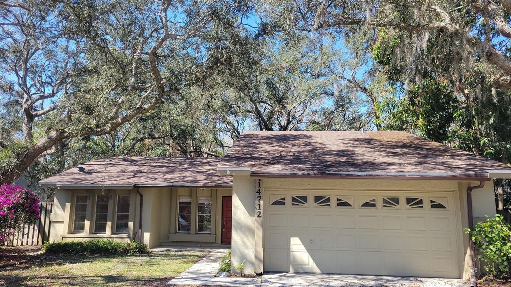 14712 Tall Tree Dr in Lutz, FL - Building Photo