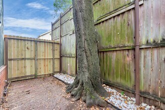 2225 Mimosa Dr in Houston, TX - Building Photo - Building Photo