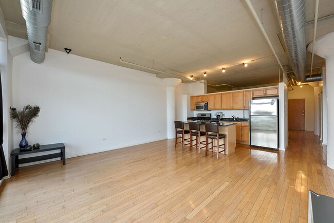 1524 S Sangamon St in Chicago, IL - Building Photo - Building Photo