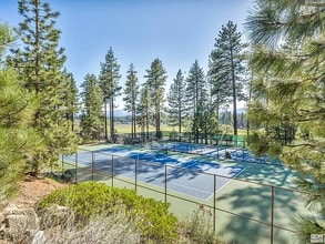 167 Holly Ln in Stateline, NV - Building Photo - Building Photo