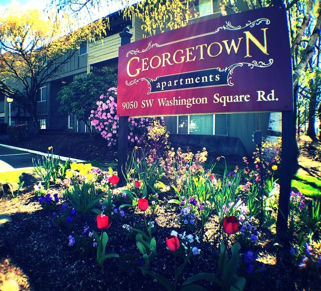 Georgetown Manor Apartments
