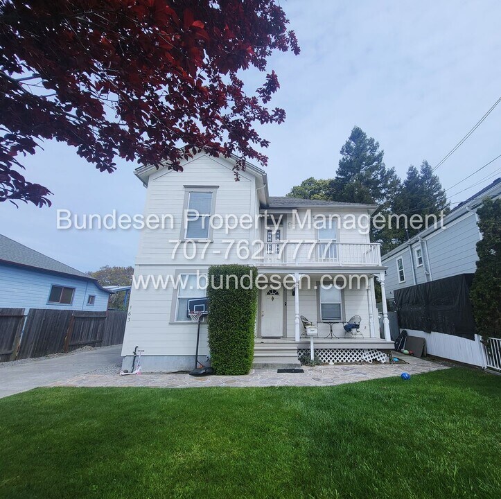 163 Wilson St in Petaluma, CA - Building Photo