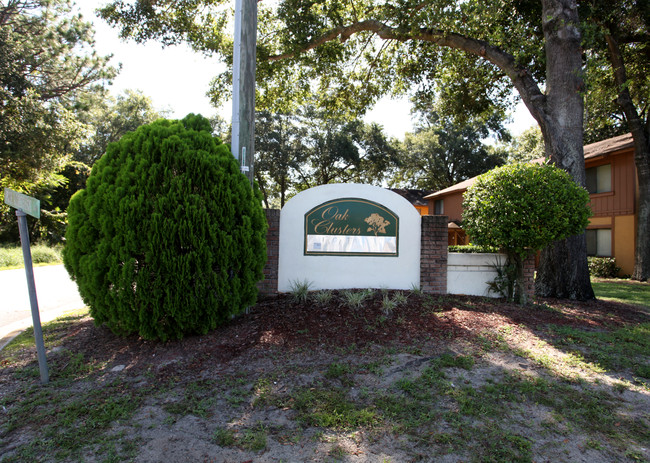 Oak Clusters Townhomes in Orlando, FL - Building Photo - Building Photo