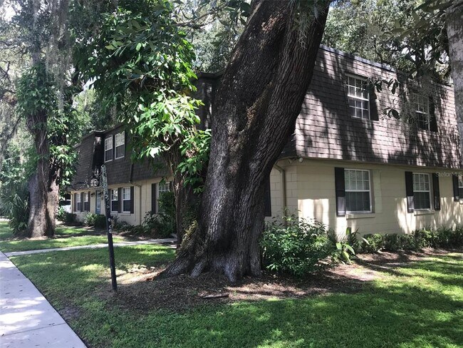 517 S Hyer Ave in Orlando, FL - Building Photo - Building Photo