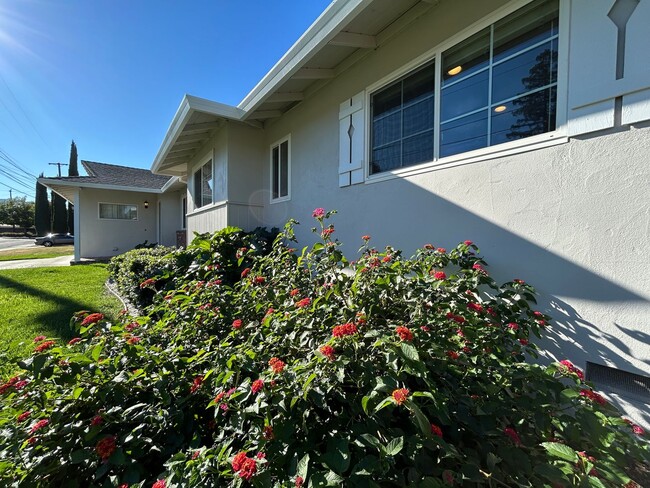 815 Wilmore Ave in Concord, CA - Building Photo - Building Photo