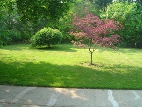 305 Maplewood Rd in Huntington Station, NY - Building Photo - Building Photo