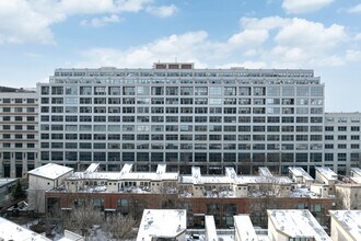 Domain Lofts in Chicago, IL - Building Photo - Building Photo