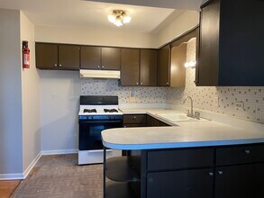 8033 S Roberts Rd in Bridgeview, IL - Building Photo - Building Photo