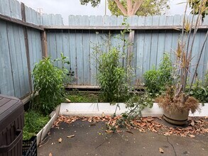 14791 Newport Ave, Unit A in Tustin, CA - Building Photo - Building Photo