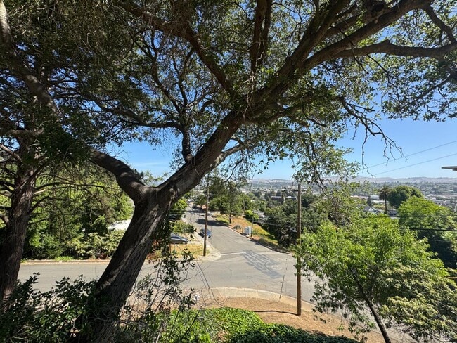 341 Carter St in Vallejo, CA - Building Photo - Building Photo