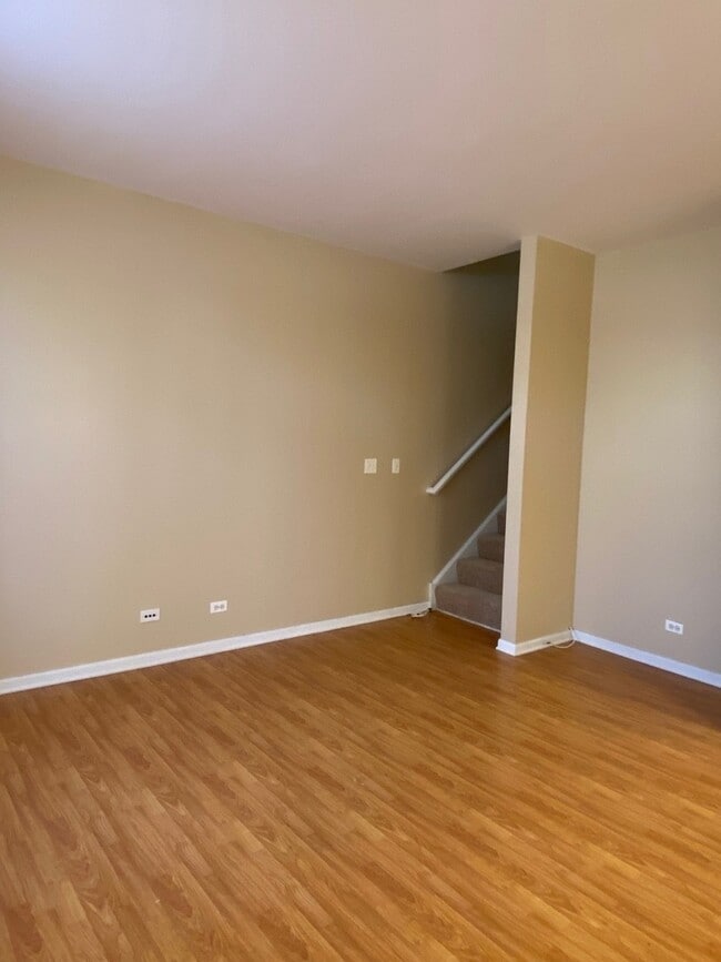 266 Springbrook Trail S in Oswego, IL - Building Photo - Building Photo