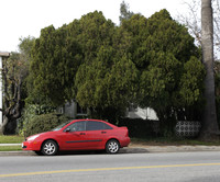 5719 Hazeltine Ave in Van Nuys, CA - Building Photo - Building Photo