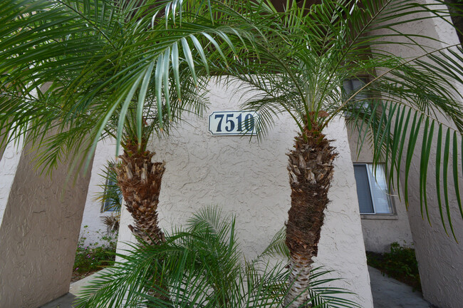 7510 Needle Leaf Pl in Tampa, FL - Foto de edificio - Building Photo