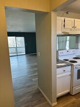 1185 S Gilbert St in Castle Rock, CO - Building Photo - Building Photo