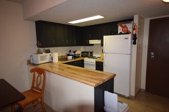 500 E College Ave in State College, PA - Building Photo - Building Photo