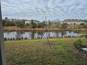 10915 Wishing Cloud Rd in Land O Lakes, FL - Building Photo - Building Photo