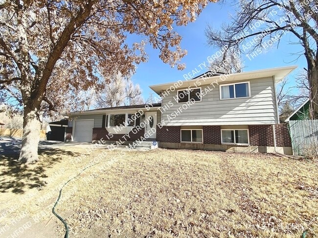 303 Quebec St in Colorado Springs, CO - Building Photo - Building Photo