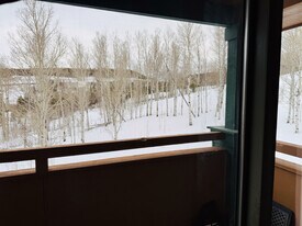 201 Ryan Gulch Rd, Unit Ryan Gulch Rd in Silverthorne, CO - Building Photo
