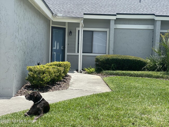 3111 Sea Hawk Dr in Ponte Vedra Beach, FL - Building Photo - Building Photo