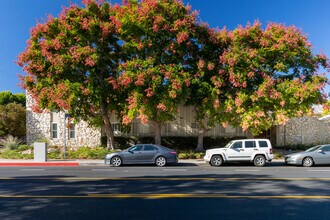 Ardmore Apartments in Studio City, CA - Building Photo - Building Photo