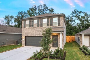 18769 Lucas Michael Wy in New Caney, TX - Building Photo