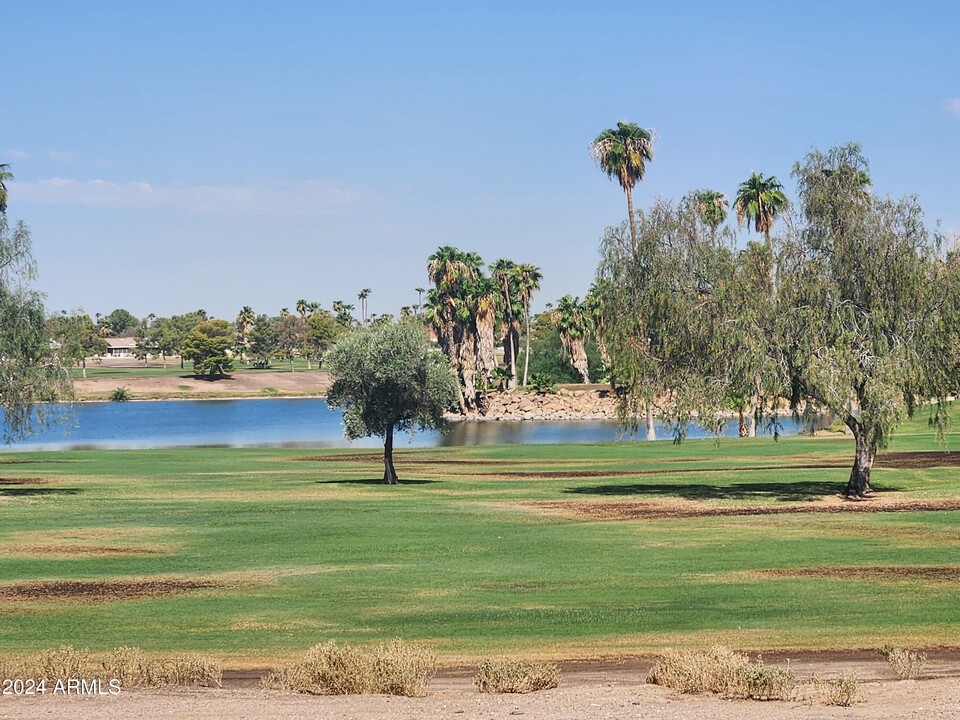 19418 N Star Ridge Dr in Sun City West, AZ - Building Photo