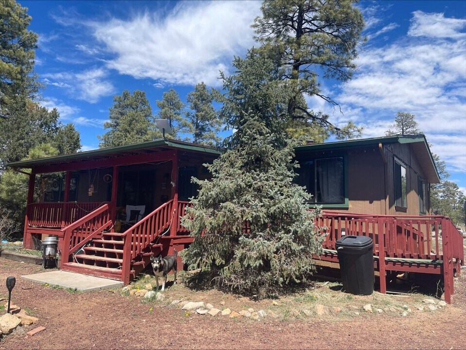 2939 Paint Pony Ln in Heber-Overgaard, AZ - Building Photo