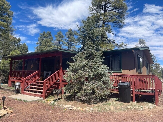 property at 2939 Paint Pony Ln
