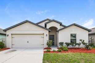 745 Chatham Walk in Ruskin, FL - Building Photo