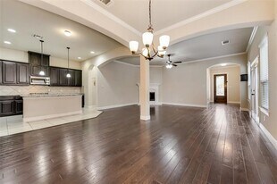 10009 Tanner Mill Dr in McKinney, TX - Building Photo