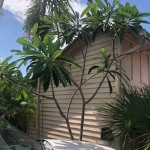 2400 SW 19th Ave-Unit -Villa 104 in Boynton Beach, FL - Building Photo - Building Photo