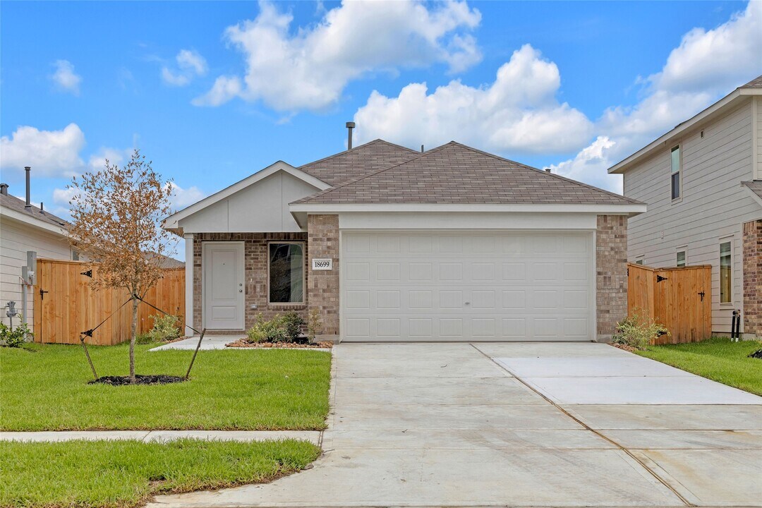 18699 Cepagatti Dr in New Caney, TX - Building Photo