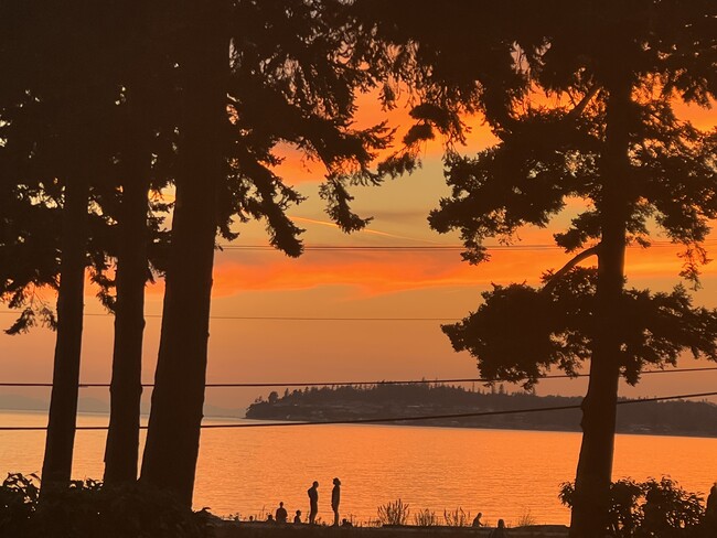 property at 7806 Birch Bay Dr