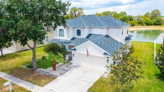 3533 Juneberry Dr in Wesley Chapel, FL - Building Photo