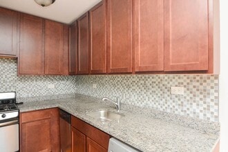 555 W Arlington in Chicago, IL - Foto de edificio - Building Photo