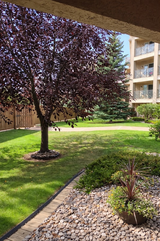 property at 8912-8156 156 St NW