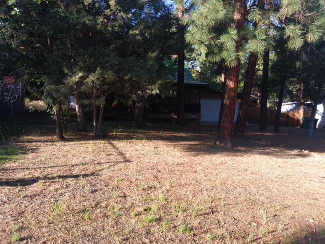 1701 W Hall St in Show Low, AZ - Building Photo - Building Photo