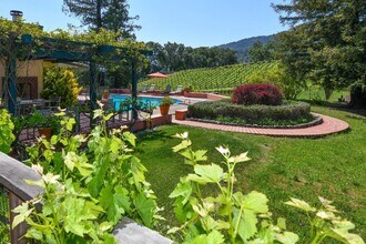 1975 Whitehall Ln in St Helena, CA - Foto de edificio - Building Photo