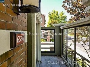 6566 Sierra Ln in Dublin, CA - Building Photo - Building Photo