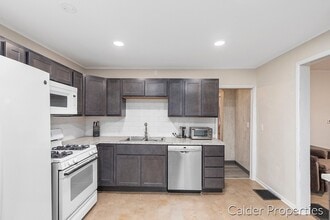 843 Lake Dr SE in Grand Rapids, MI - Building Photo - Building Photo