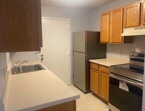 59 Village Brook Ln in Natick, MA - Building Photo - Building Photo