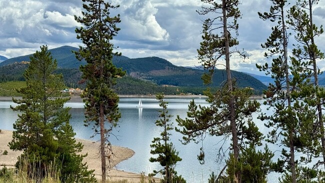 property at 244 W Lodgepole St