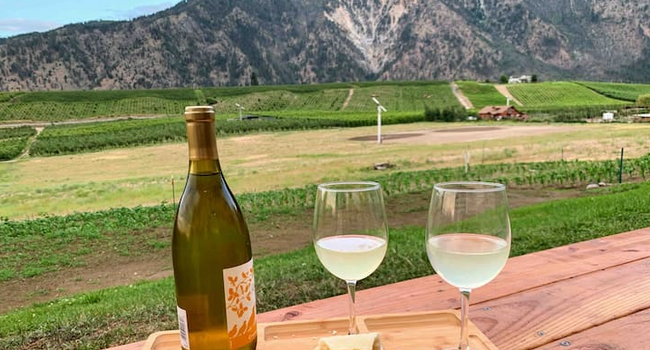 2365 Washington St, Unit 2 Bedroom-Vineyard Views in Manson, WA - Building Photo - Building Photo