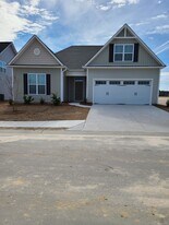 4113 Pegasus Pkwy in Northwest, NC - Building Photo
